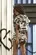 SHORT MOLETINHO LOVE - COLCCI 0065300435