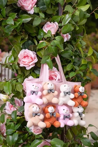 BOLSA CHINO URSINHOS PITUCHINHUS 24737