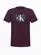 CAMISETA BOY RE ISSUE RETANGULO CALVIN KLEIN JJ103