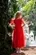VESTIDO MIDE TULE CRISTAIS PITUCHINHUS 25251