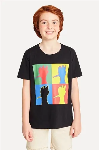 CAMISETA PICA PAU POP ARTE RESERVA 0072611