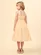 VESTIDO ALÇA LAISE ANIME N4261